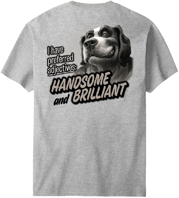 Handsome And Brilliant T-Shirt